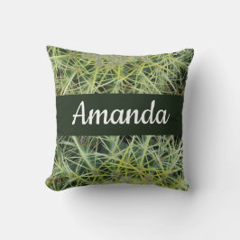 Southwest Green Desert Plant Foto Barrel Cactus Kussen