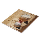 Southwest Navajo Pottery Tegeltje (Zijkant)