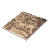 Southwest Petroglyph Hieroglyph Ceramic Tile Tegeltje (Zijkant)