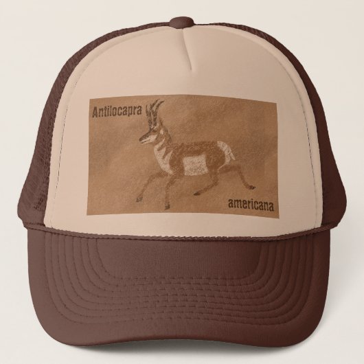 Southwest Pronghorn Antelope Trucker Pet (Voorkant)