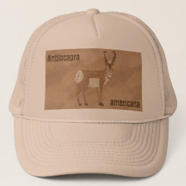 Southwest Pronghorn Antelope Trucker Pet