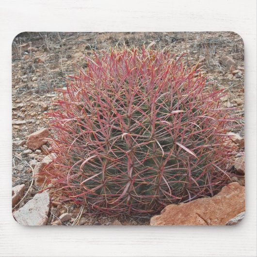 Southwest Red Barrel Cactus Foto Arizona Desert Muismat (Voorkant)