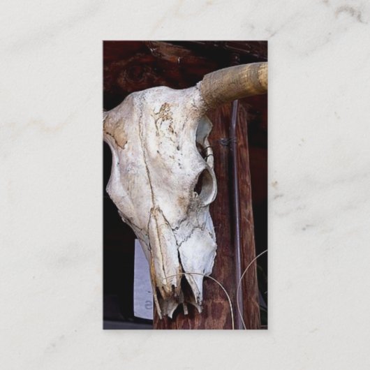 Southwestern Business/Profile Card Visitekaartje (Voorkant)