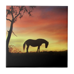 Southwestern Color Horse in Sunrise Tegeltje
