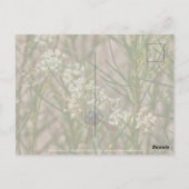 Southwestern Forager Briefkaart (Achterkant)