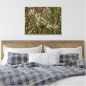Southwestern Forager Canvas Afdruk (Insitu (Slaapkamer))