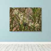 Southwestern Forager Canvas Afdruk (Insitu (Houten vloer))