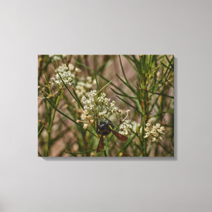 Southwestern Forager Canvas Afdruk