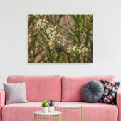Southwestern Forager Canvas Afdruk (Insitu (Woonkamer))