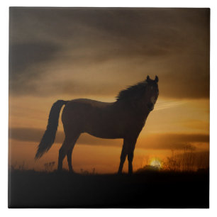 Southwestern Horse and Sun Art Tegel Tegeltje