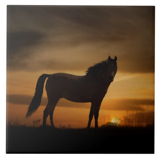 Southwestern Horse and Sun Art Tegel Tegeltje (Voorkant)
