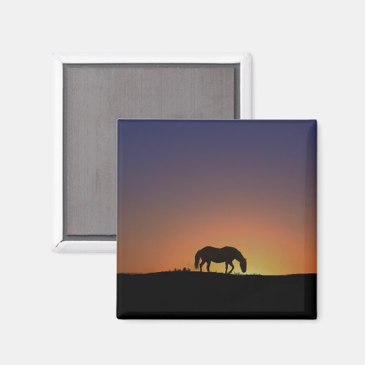  Southwestern Horse Magnet (Voorkant / Achterkant)