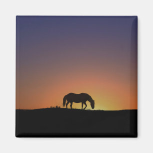  Southwestern Horse Magnet