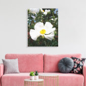Southwestern Prickly Poppy Foto Canvas Afdruk (Insitu (Woonkamer))