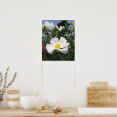 Southwestern Prickly Poppy Foto Poster (Keuken)
