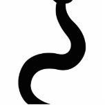 Southwestern Snake Staand Fotobeeldje<br><div class="desc">Southwestern Snake</div>