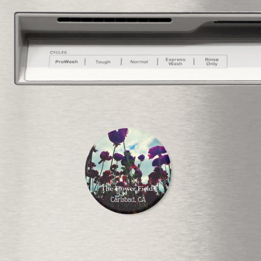 Souvenir Magnet: De Bloemvelden in Carlsbad, CA Magneet (Insitu (Vaatwasser))