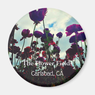 Souvenir Magnet: De Bloervelden in Carlsbad, CA Magneet