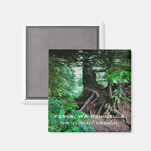 Souvenir Magnet: Forks, WA Peninsula Magneet (Voorkant / Achterkant)