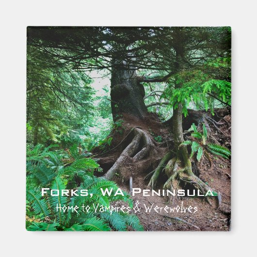 Souvenir Magnet: Forks, WA Peninsula Magneet (Voorkant)
