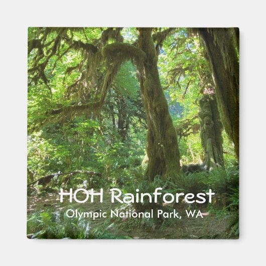 Souvenir Magnet-Hoh Rainforest, Olympisch NP Magneet (Voorkant)