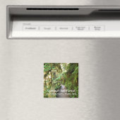 Souvenir Magnet-Quinault Rainforest, Olympisch NP Magneet (Insitu (Vaatwasser))