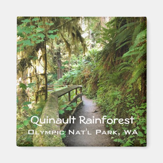 Souvenir Magnet-Quinault Rainforest, Olympisch NP Magneet (Voorkant)