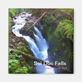 Souvenir Magnet: Sol Duc-Herfsten, Olympisch natuu Magneet