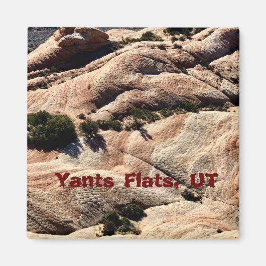 Souvenir Magnet: Yants Flats, St. George, UT Magneet (Voorkant)