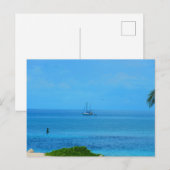 Souvenir van de Bahama-eilanden Briefkaart (Voorkant / Achterkant)