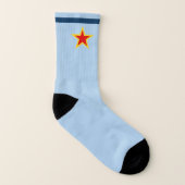 Sovjet Antonov AN-2 vliegtuig Sokken (Links binnenkant)