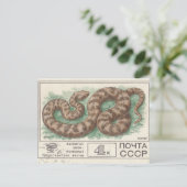Sovjet postzegel Viper Briefkaart (Staand voorkant)