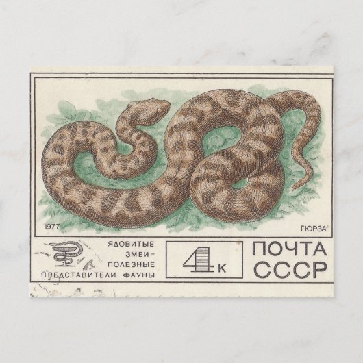 Sovjet postzegel Viper Briefkaart (Voorkant)