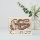 Sovjetpostzegel centrale aziatische cobra briefkaart (Staand voorkant)