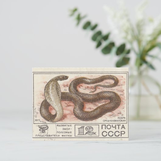 Sovjetpostzegel centrale aziatische cobra briefkaart (Staand voorkant)
