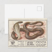 Sovjetpostzegel centrale aziatische cobra briefkaart (Voorkant / Achterkant)