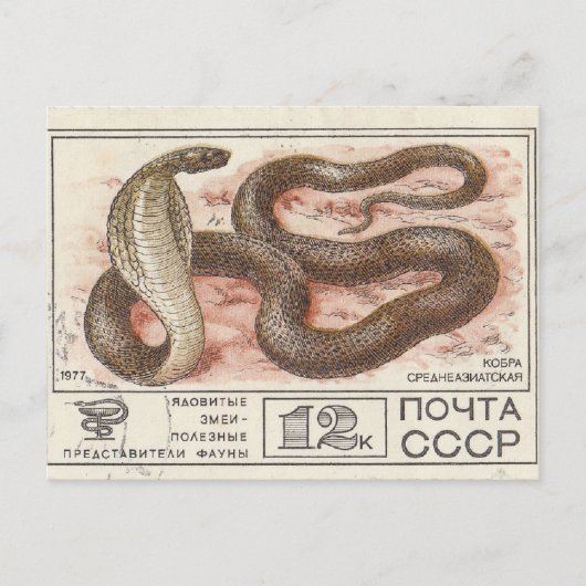 Sovjetpostzegel centrale aziatische cobra briefkaart (Voorkant)