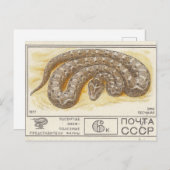 Sovjetpostzegel Ventigzand Briefkaart (Voorkant / Achterkant)