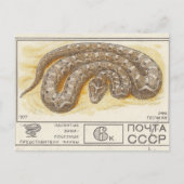 Sovjetpostzegel Ventigzand Briefkaart (Voorkant)