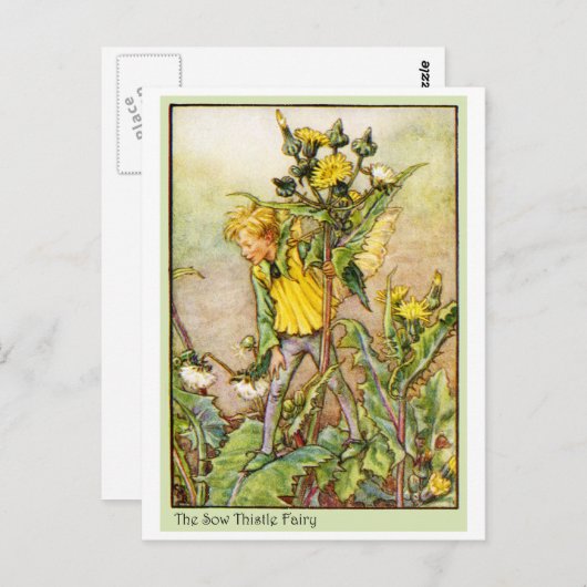 SOW DE FEE VAN DE DISTEL BRIEFKAART (Voorkant / Achterkant)