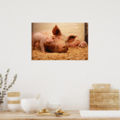 Sow en biggen poster (Keuken)