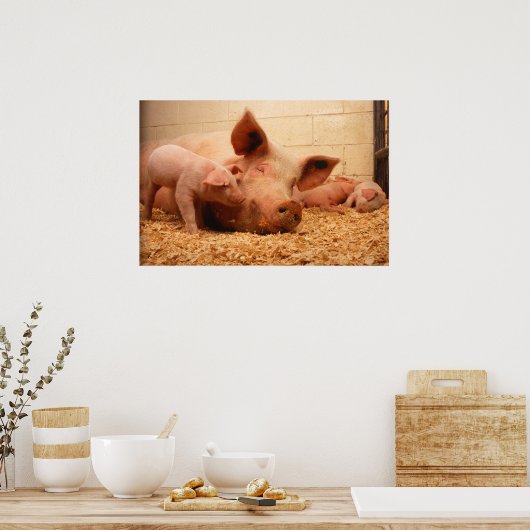 Sow en biggen poster (Keuken)