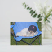 Sox Briefkaart (Staand voorkant)