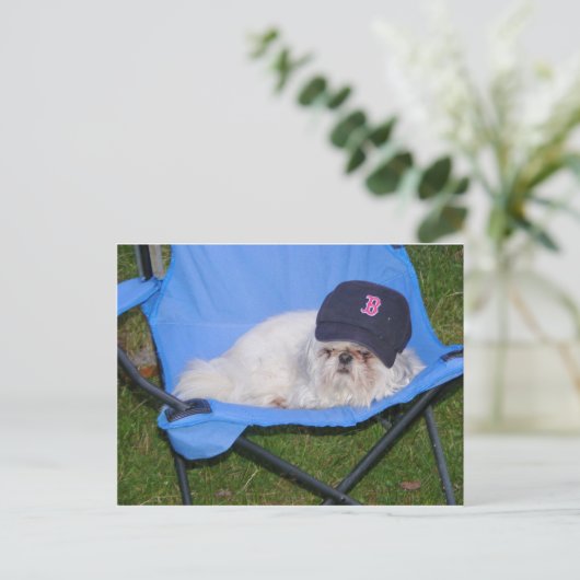 Sox Briefkaart (Staand voorkant)