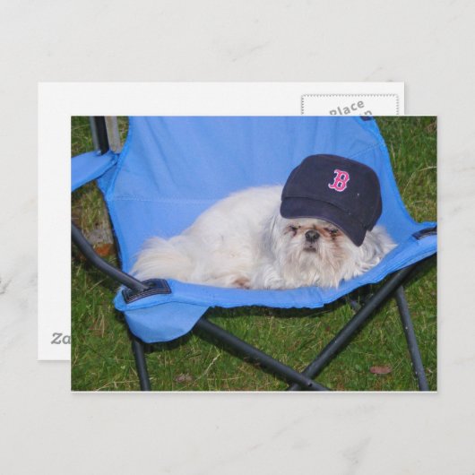 Sox Briefkaart (Voorkant / Achterkant)