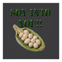 Soy Into You: een veganistisch liefdesverhaal,