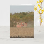 Soyboon Harvest Kaart (Gele Bloem)