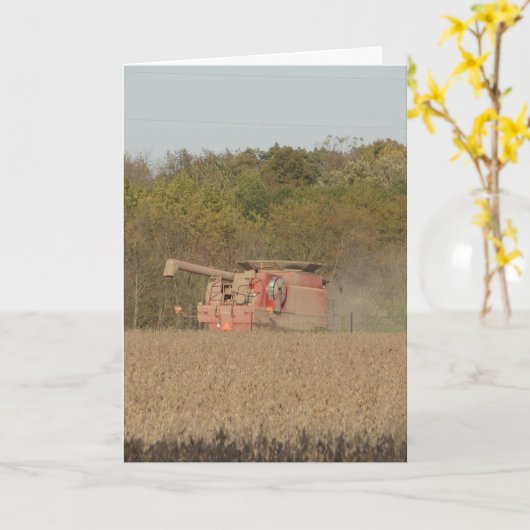 Soyboon Harvest Kaart (Gele Bloem)