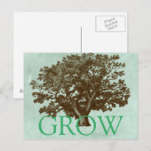 Spa-boom IV Briefkaart (Voorkant / Achterkant)