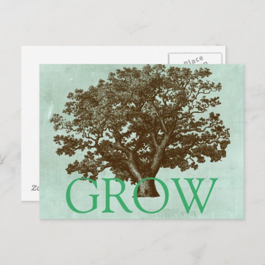 Spa-boom IV Briefkaart (Voorkant / Achterkant)